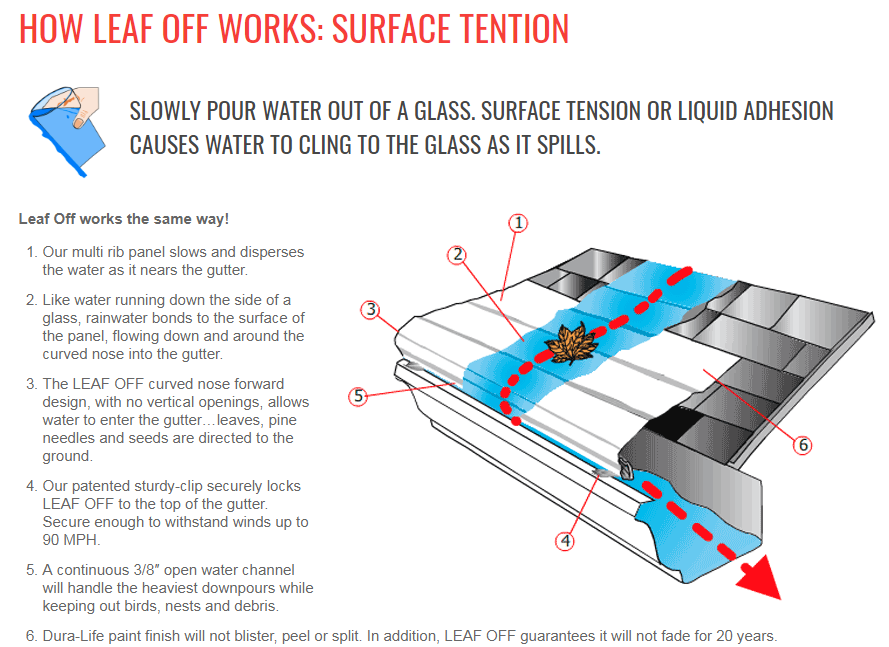 A diagram of how leaf off works surface tension causes water to climb to the glass as it spills.