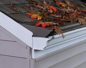 A close up of a gutter with leaves on the roof.