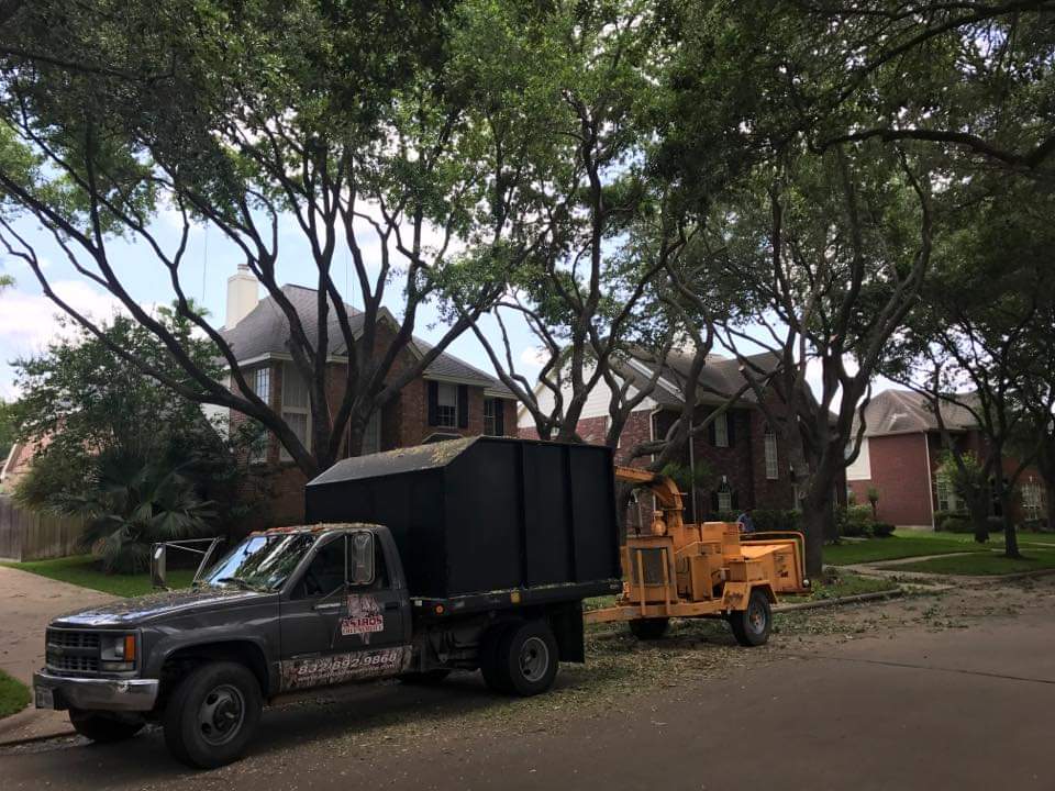 Tree Trimming Service