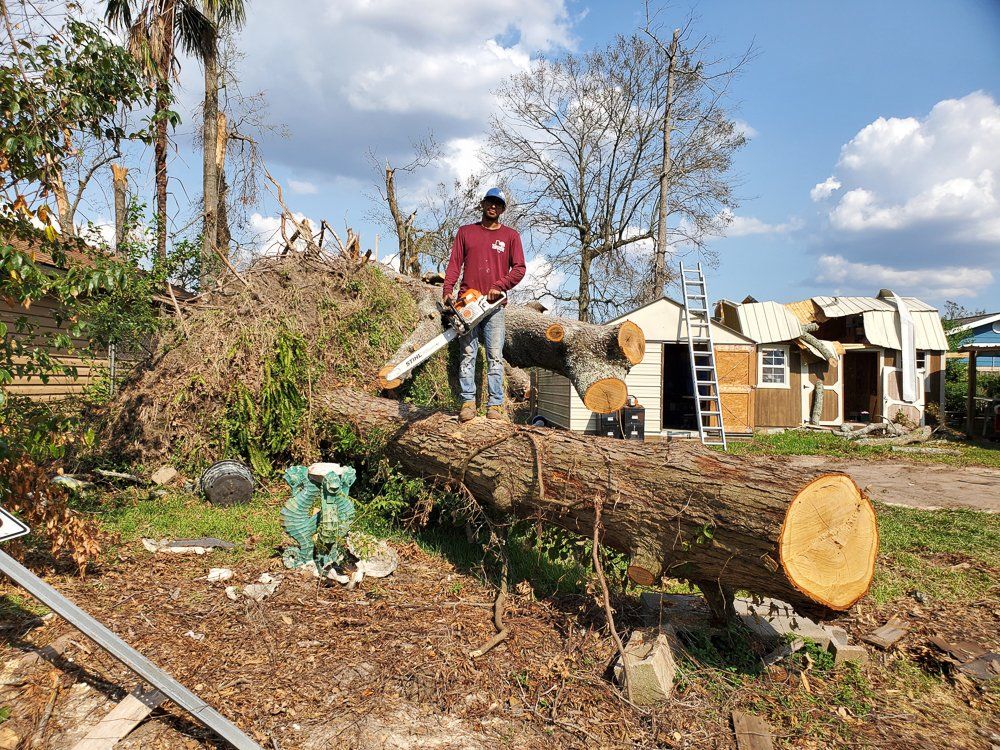 Tree Removal Service