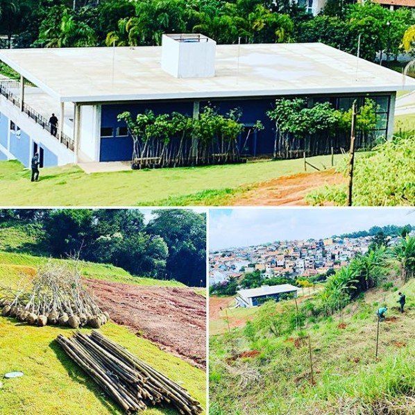 imagem de terrenos com plantio compensatório