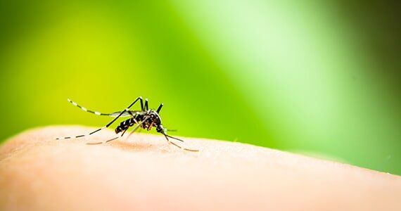 A person in need of mosquito control in Peachtree City, GA A person in need of mosquito control in Peachtree City, GA