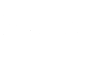 The Spine & Brain Institute logo