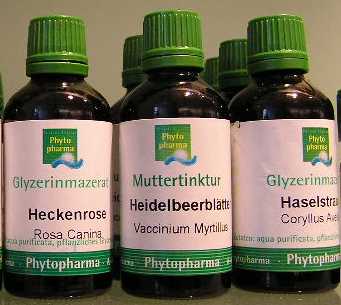 Drei Kräutertinkturfläschchen mit grünen Verschlüssen und deutscher Beschriftung. 
