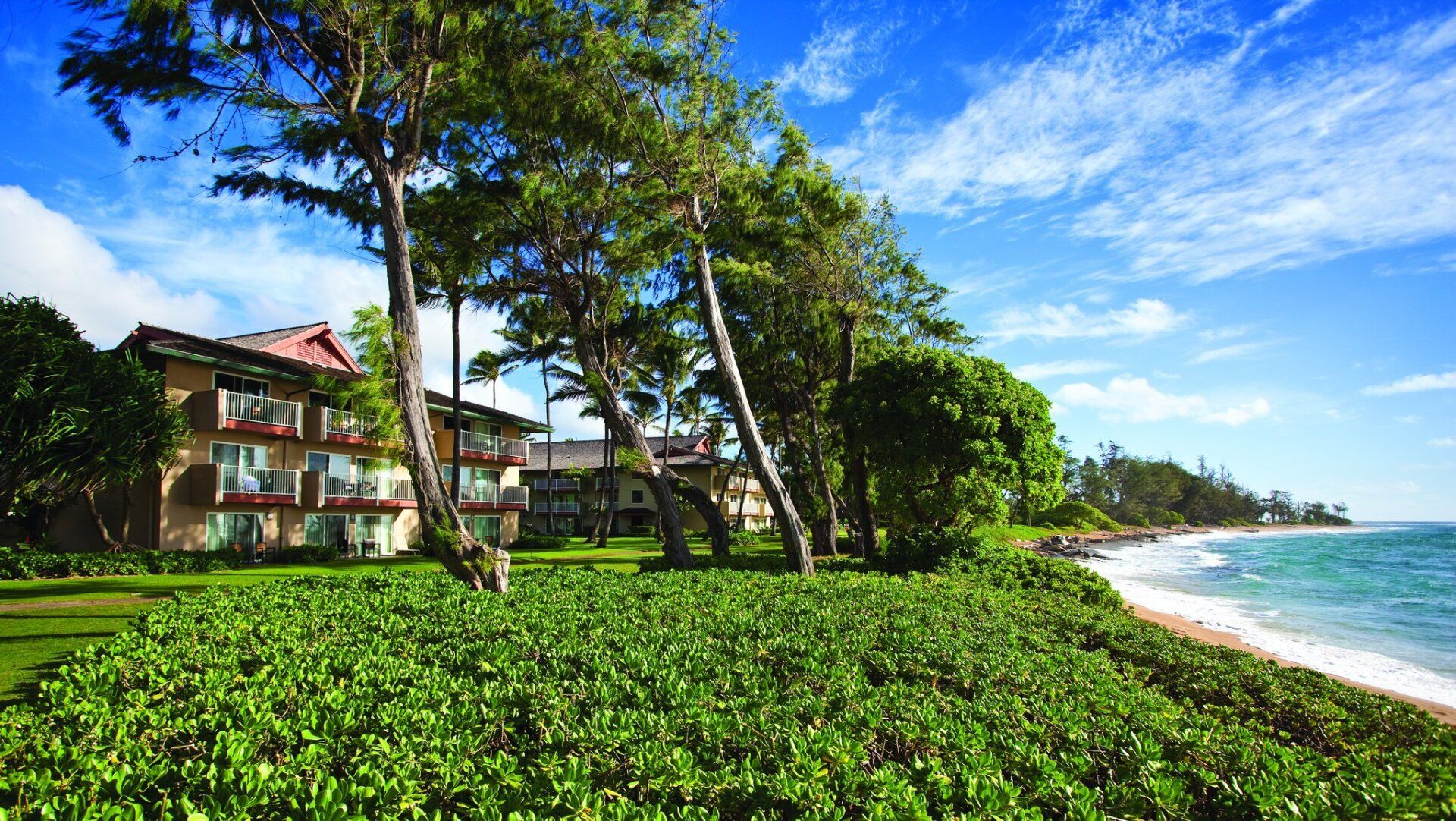 Vacation Rental
