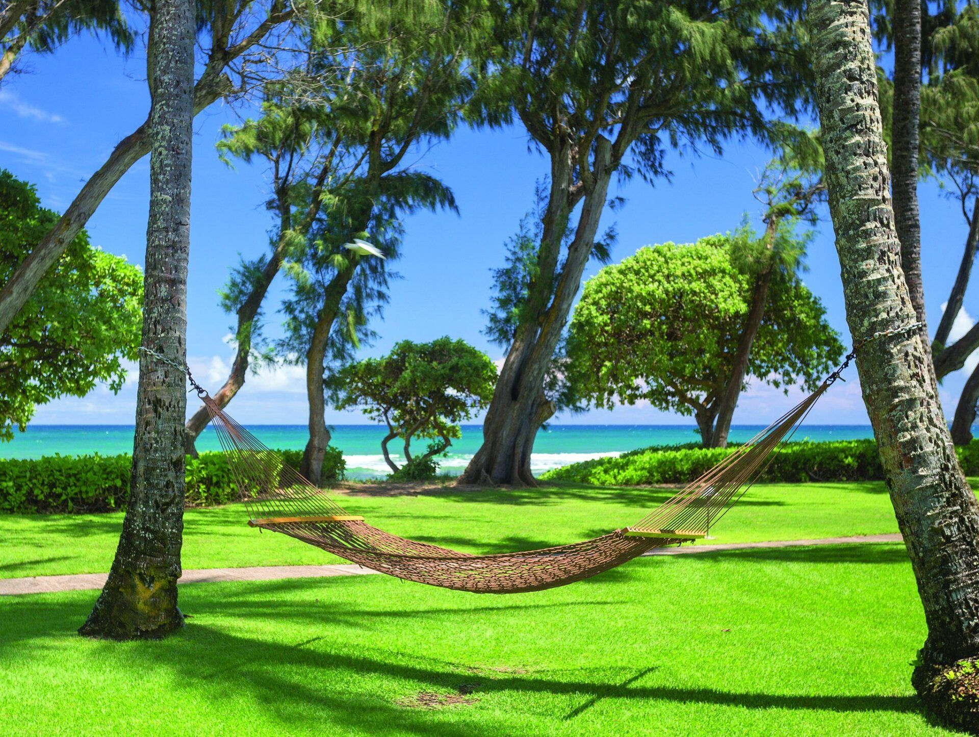 Vacation Rental