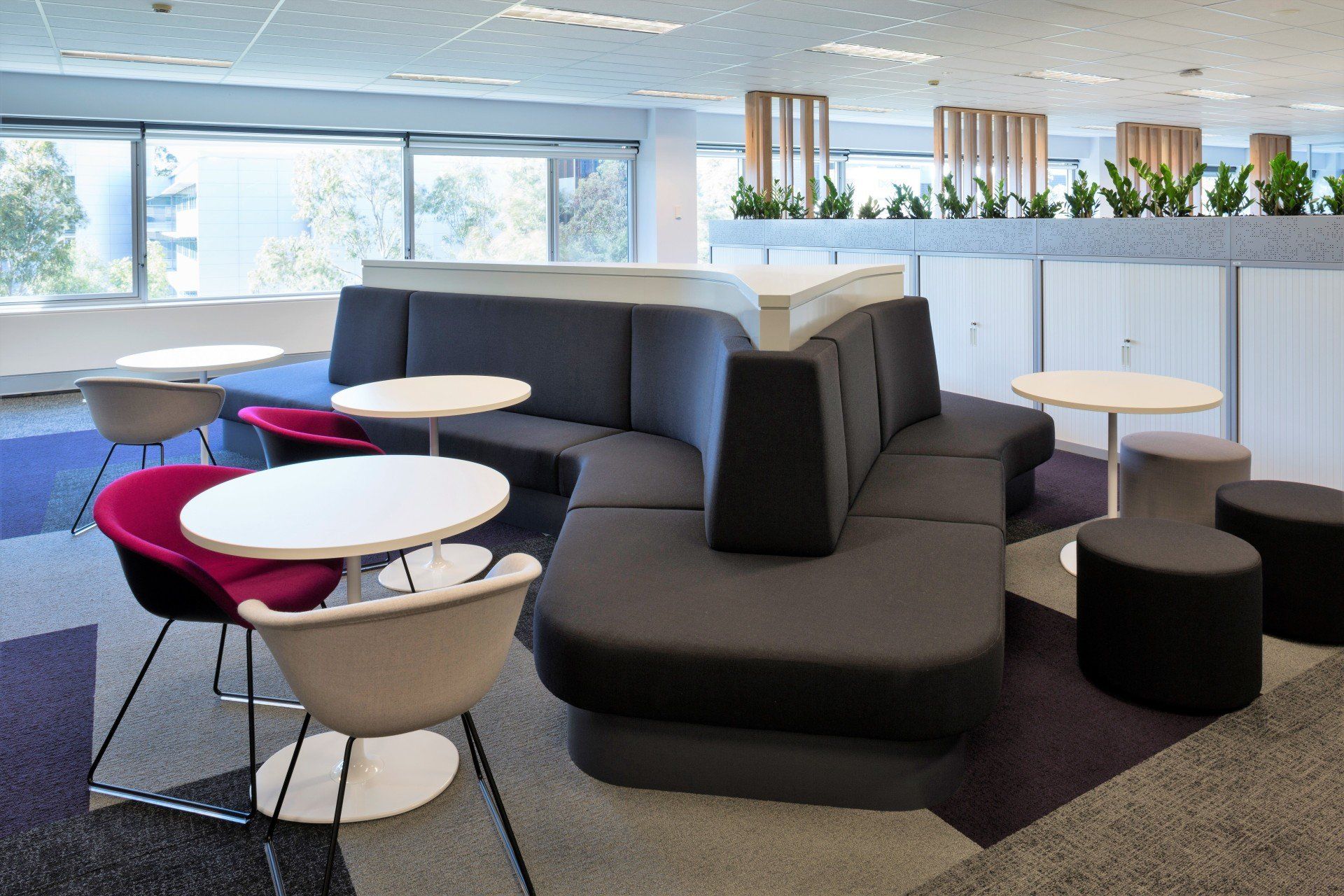 MACQUARIE UNIVERSITY