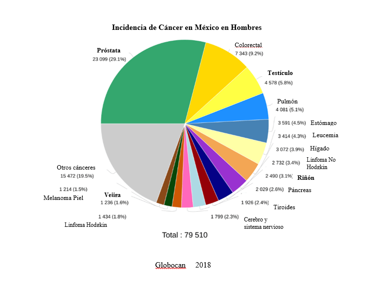 Incidencia de cáncer en México en hombres
