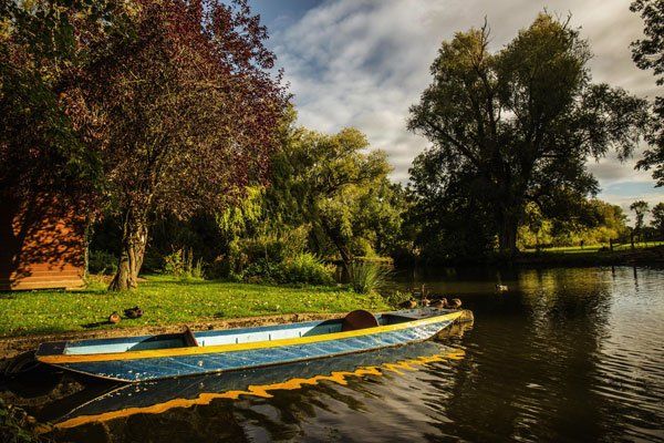 Take a walking tour of Oxford