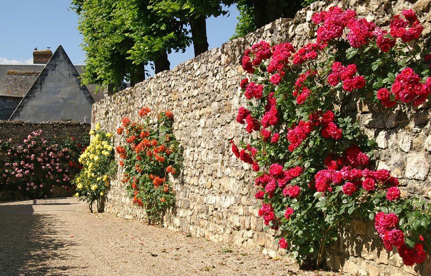 Garden wall