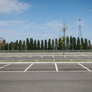 Site landscaping