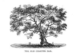 Illustration of the Old Charter Oak tree, its gnarled trunk with figures at its base.