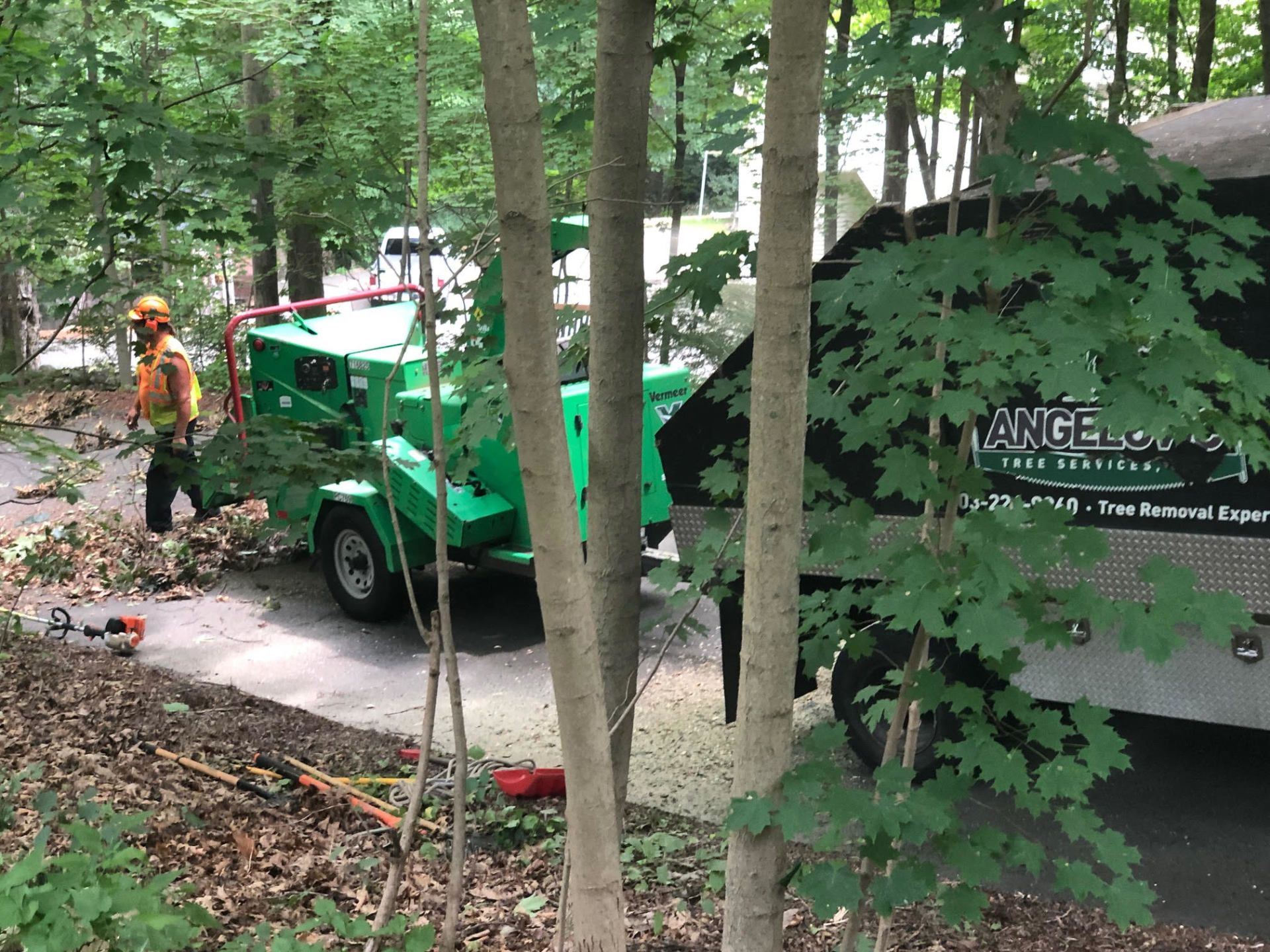 Arborist in orange vest feeding branches into a green wood chipper on a residential driveway.