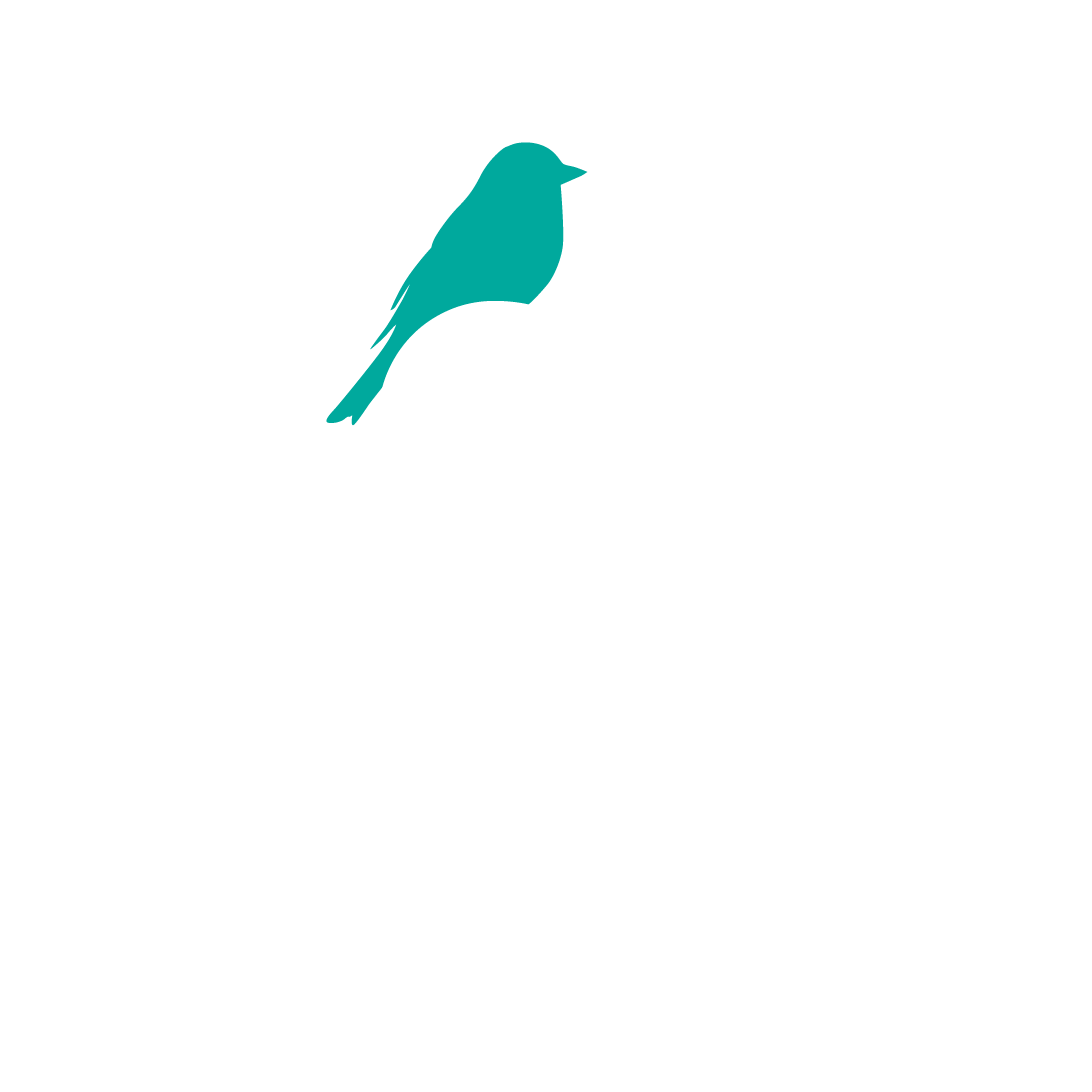 Alice Saurber design