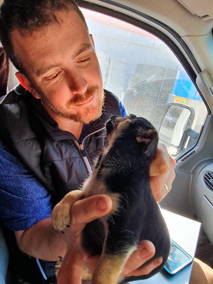 Adorable dog with his owner — Pet Transport Specialists in Rockville, QLD
