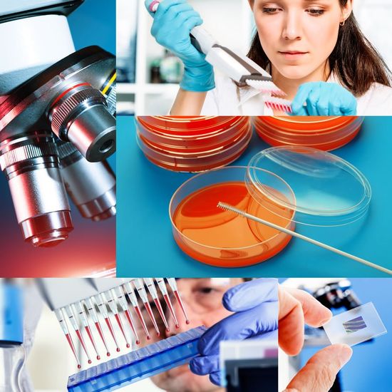 García y Rojas Cía - Laboratorio clínico