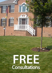 Lawn, Lawn Services in New Kensington, PA
