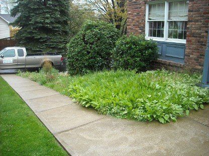 Landscape Before