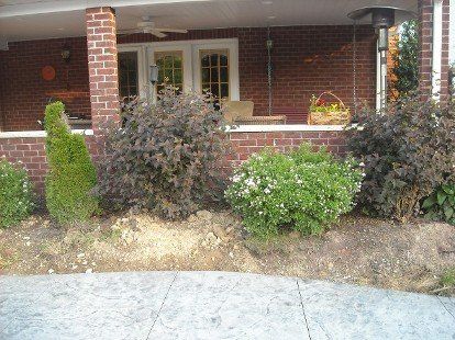 Landscape Before