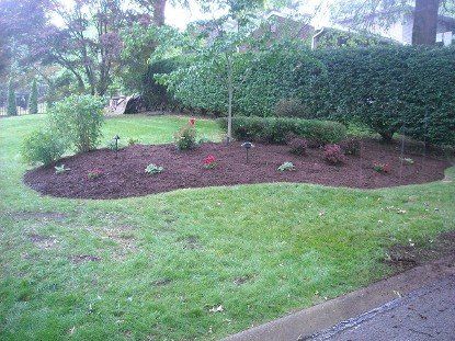 Landscape After