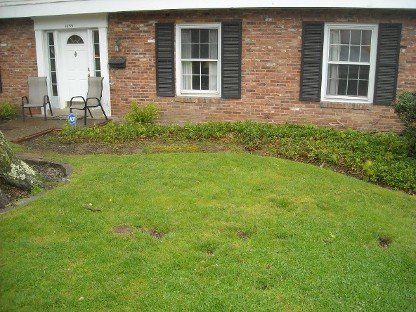 Landscape Before
