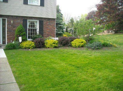 Landscape Before