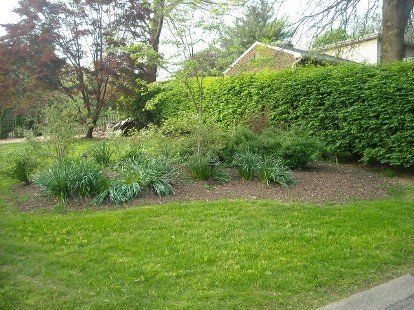 Landscape Before