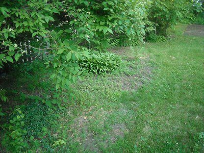 Landscape Before