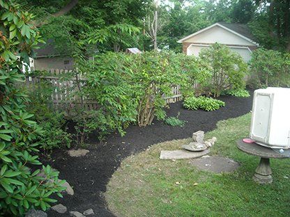 Landscape After