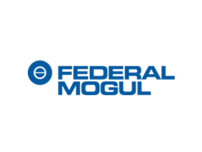 Запчасти  FEDERAL MOGUL