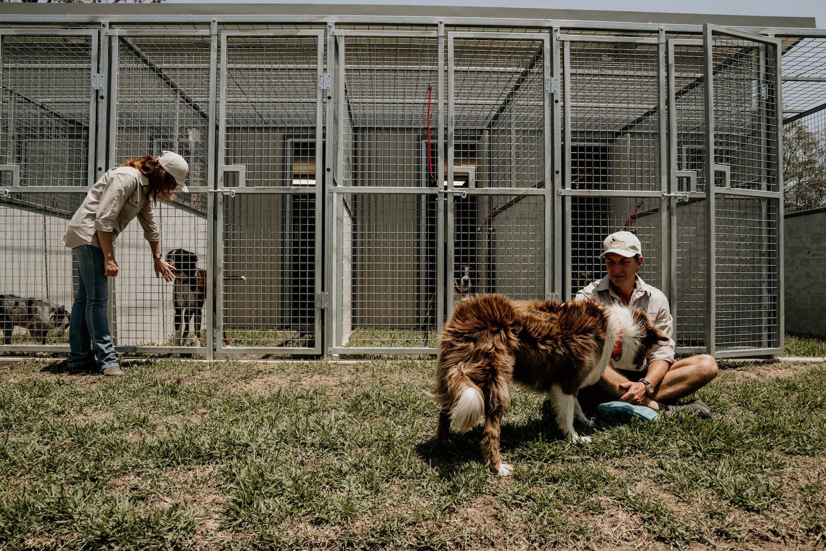 Dog Boarding 9 — Furhill Pet Boarding in East Kempsey, NSW