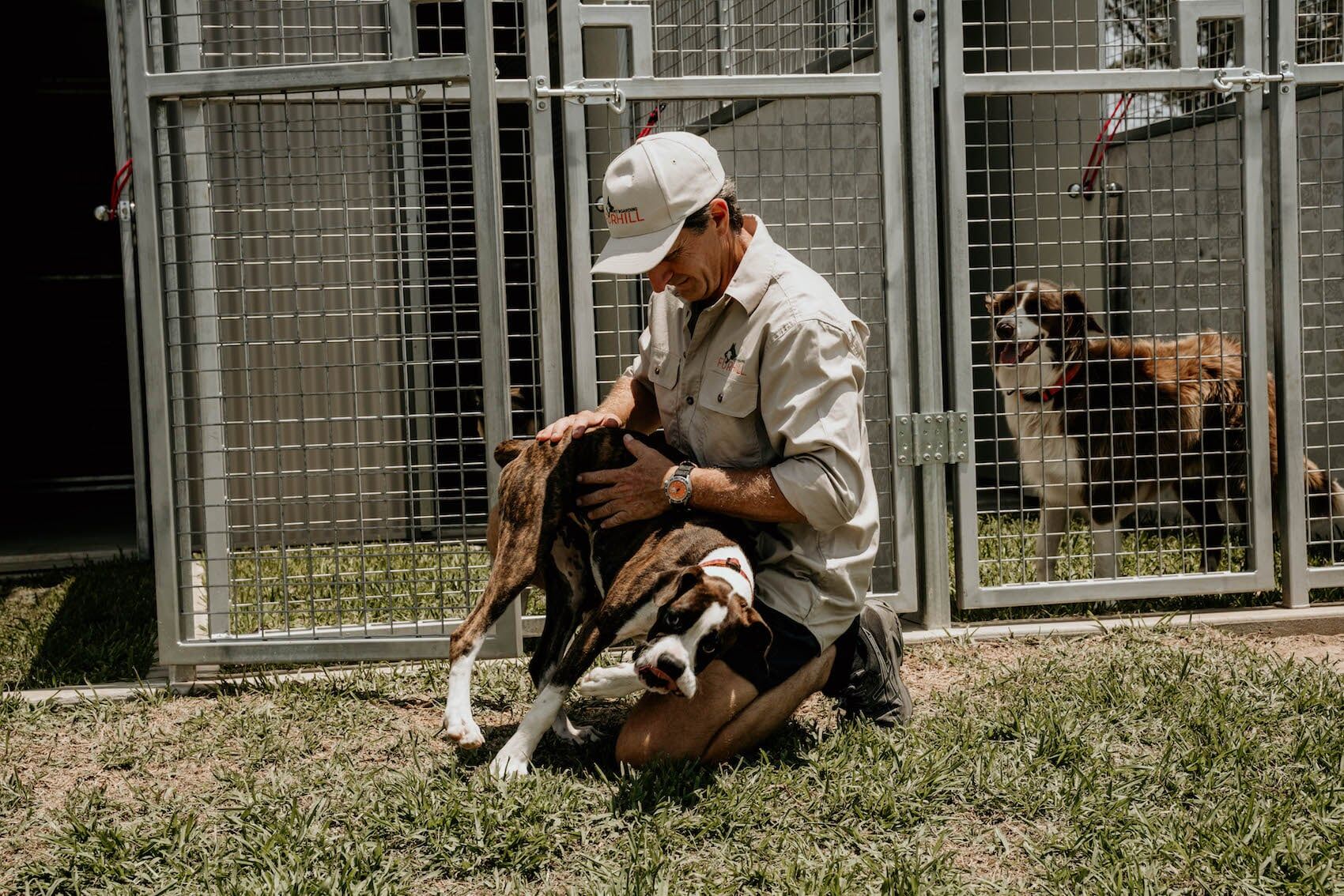 Dog Boarding 8 — Furhill Pet Boarding in East Kempsey, NSW