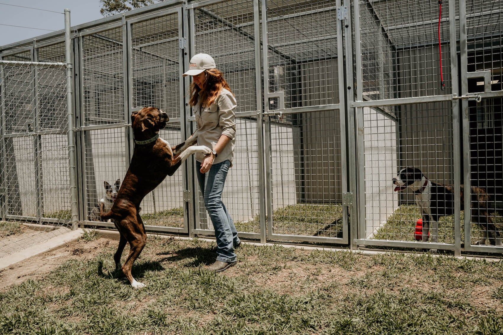 Dog Boarding 7 — Furhill Pet Boarding in East Kempsey, NSW