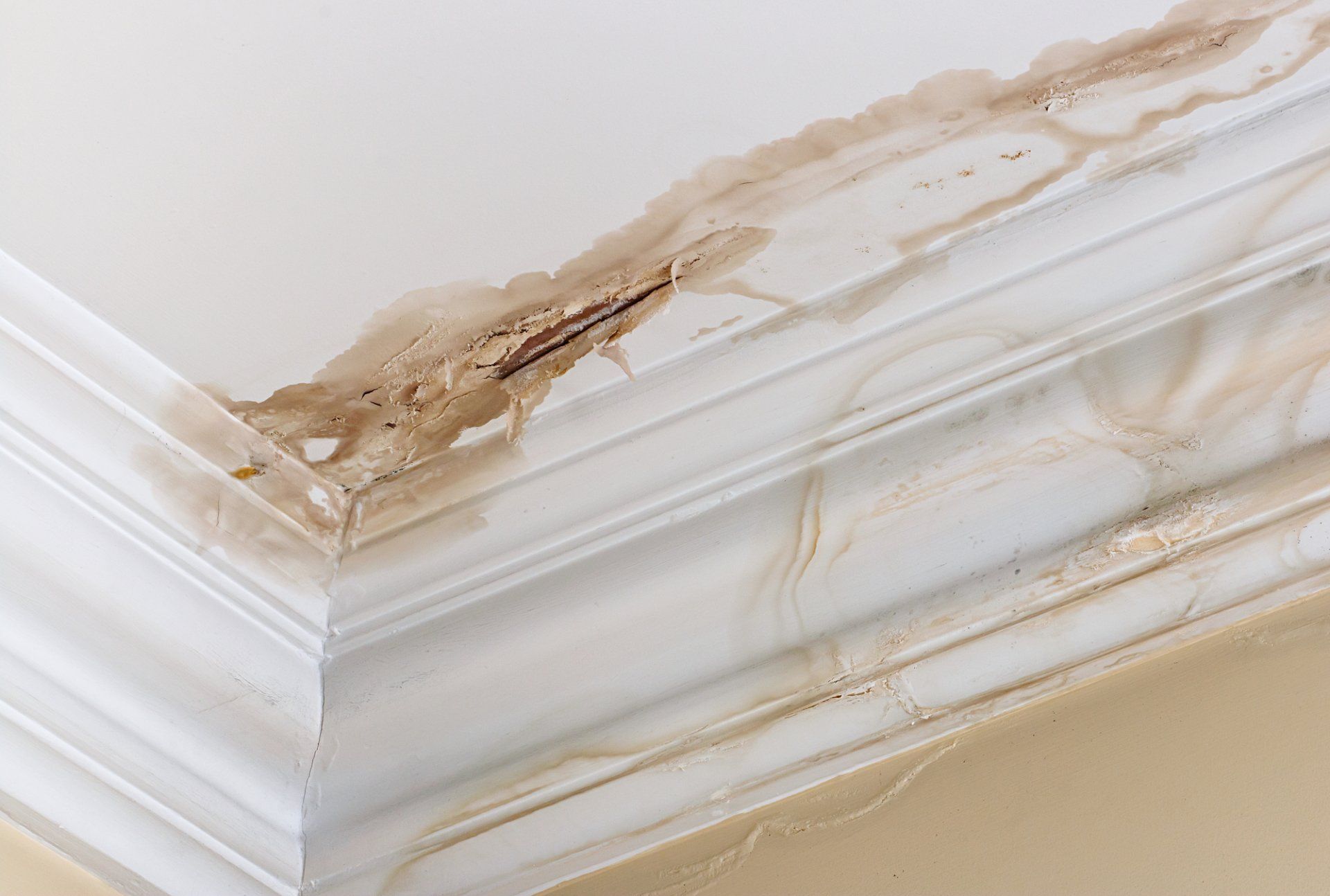 Water Damage Restoration in Sebring, FL | A All Hour Clean Up Company Inc