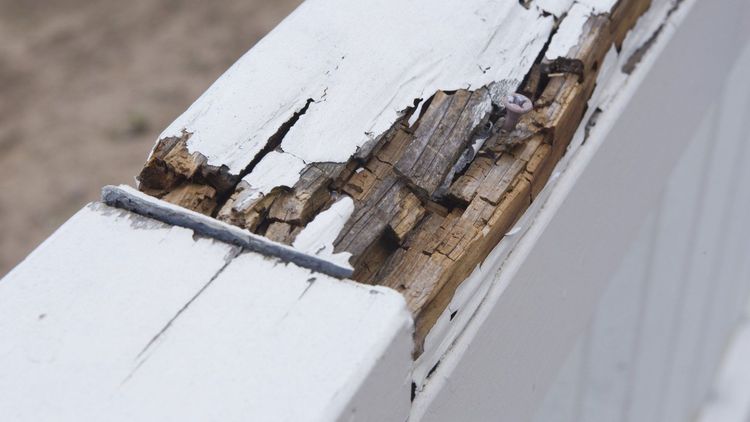 Rotten Wood — Pascagoula, MS — Gulf Coast Fence Co.
