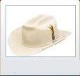 Wisp - cowboy's hat in Albuquerque, NM