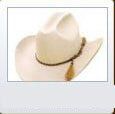 Quarter Horse - cowboy's hat in Albuquerque, NM