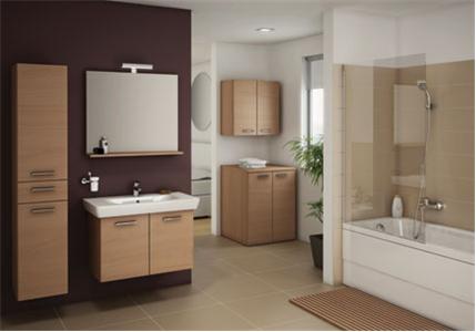 designer bathroom