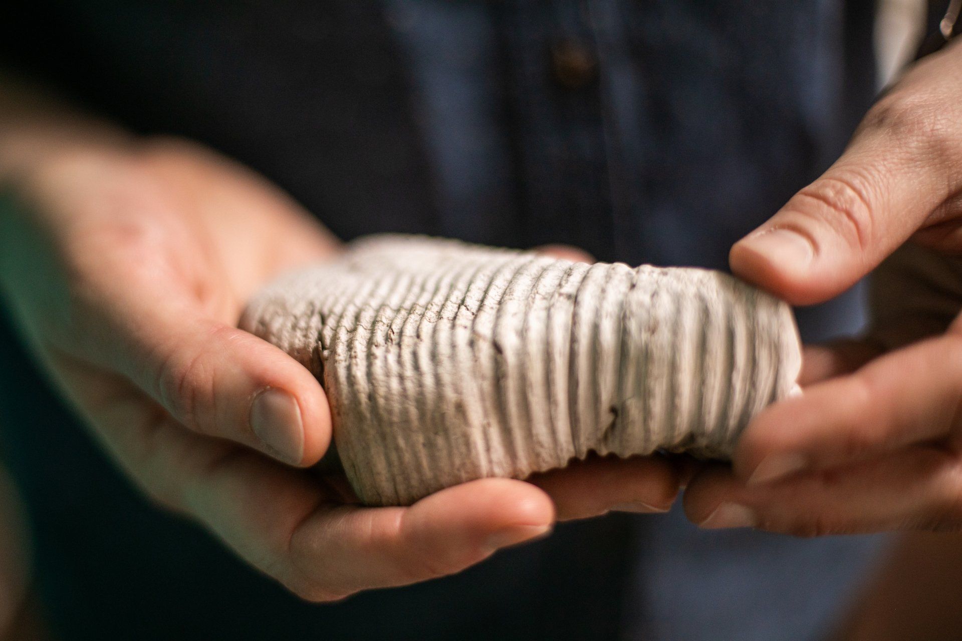 A person is holding a piece of clay in their hands.