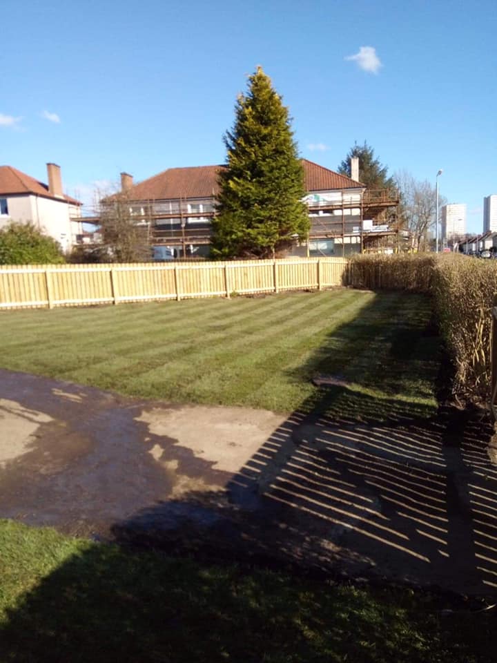 Sunny suburban backyard with a large lawn, hedge, fence, and houses in the background.