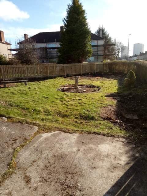 Backyard garden with a small tree, grass, fence, and concrete patio in bright sunlight