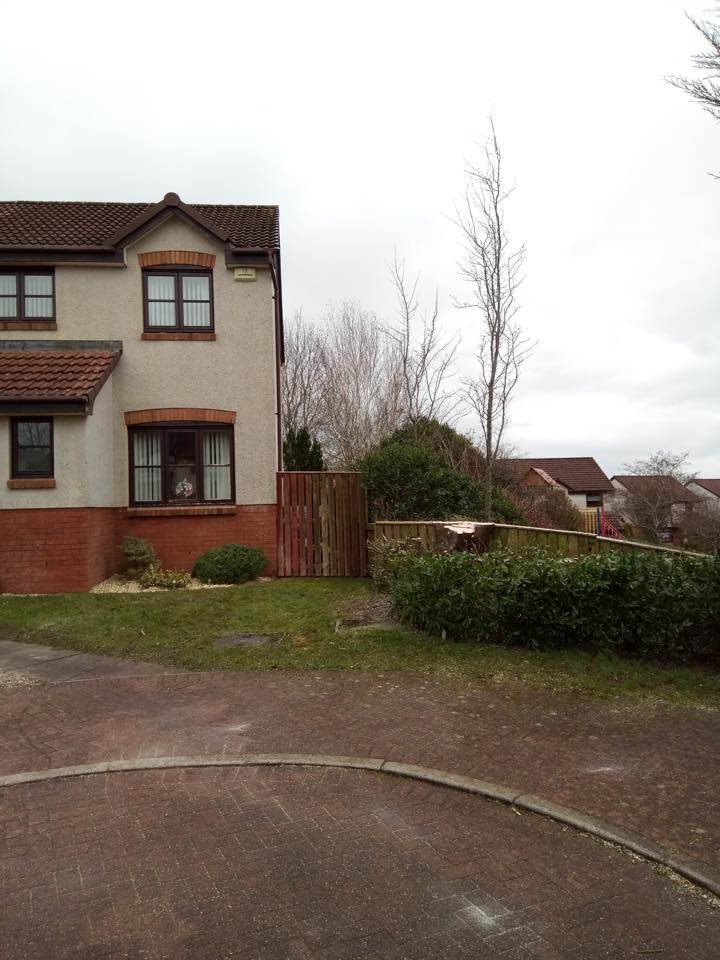 Suburban house with red brick lower walls, driveway, hedge, and leafless trees on an overcast day