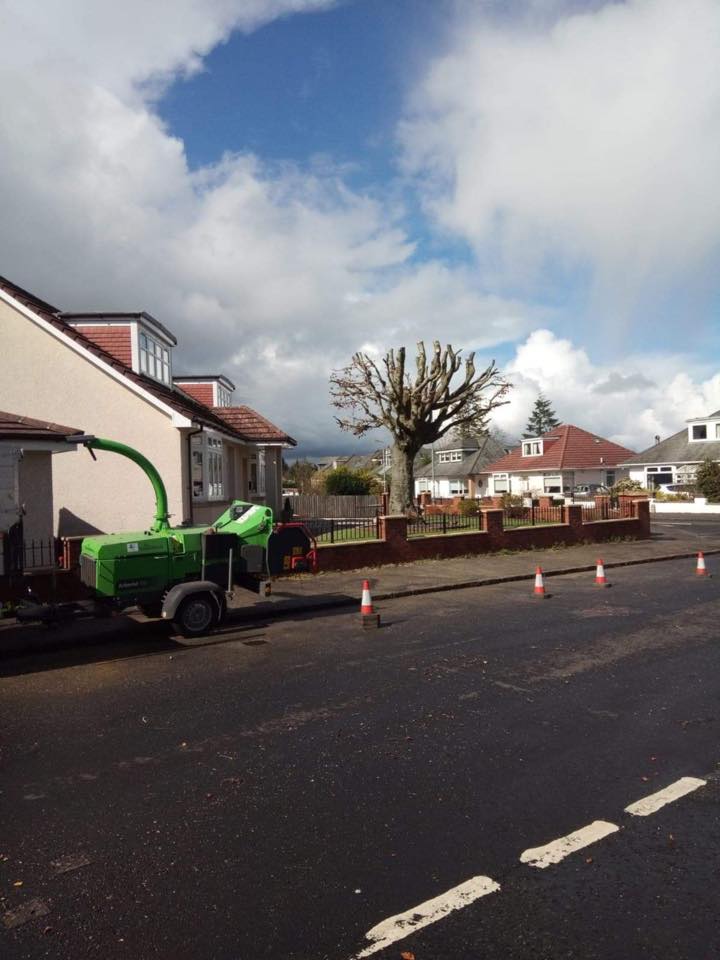 Residential street with a green road machine, traffic cones, and a pruned tree under a cloudy sky