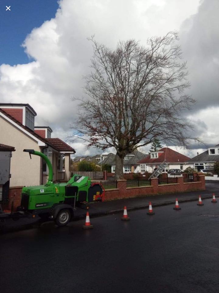 Green utility truck with raised boom parked by a tree and traffic cones on a residential street under cloudy skies