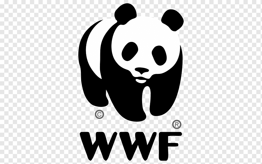 Un logotipo en blanco y negro de un oso panda sobre un fondo transparente.