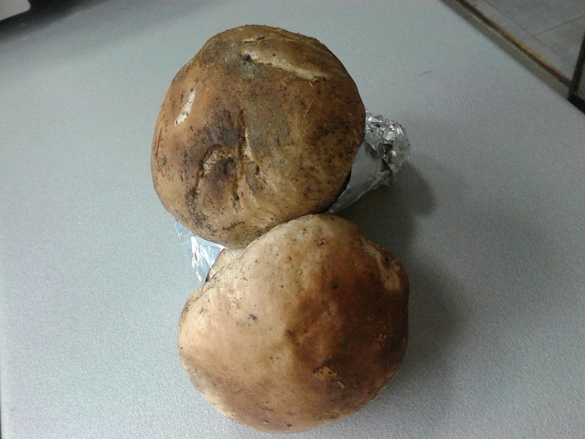 Funghi