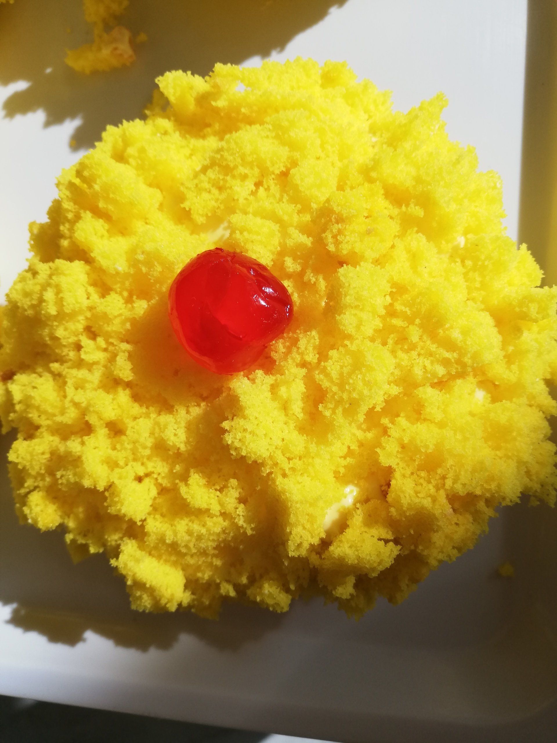 dolce mimosa