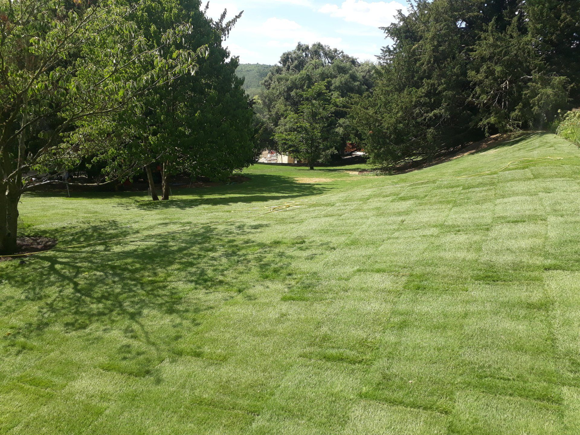 Turf Suppliers complete turf laying in Bristol, Bath, Gloucester