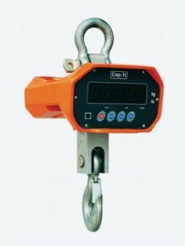 Crane Scales