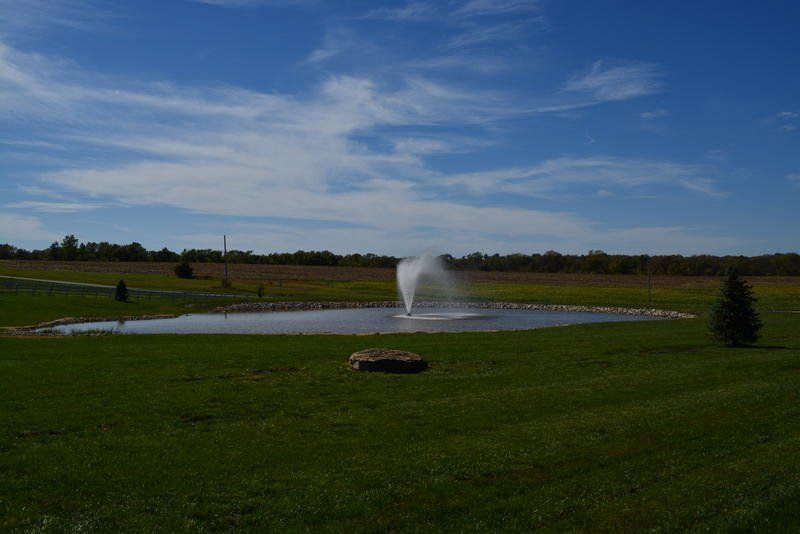 A pond with a fountain in the middle of a grassy field.